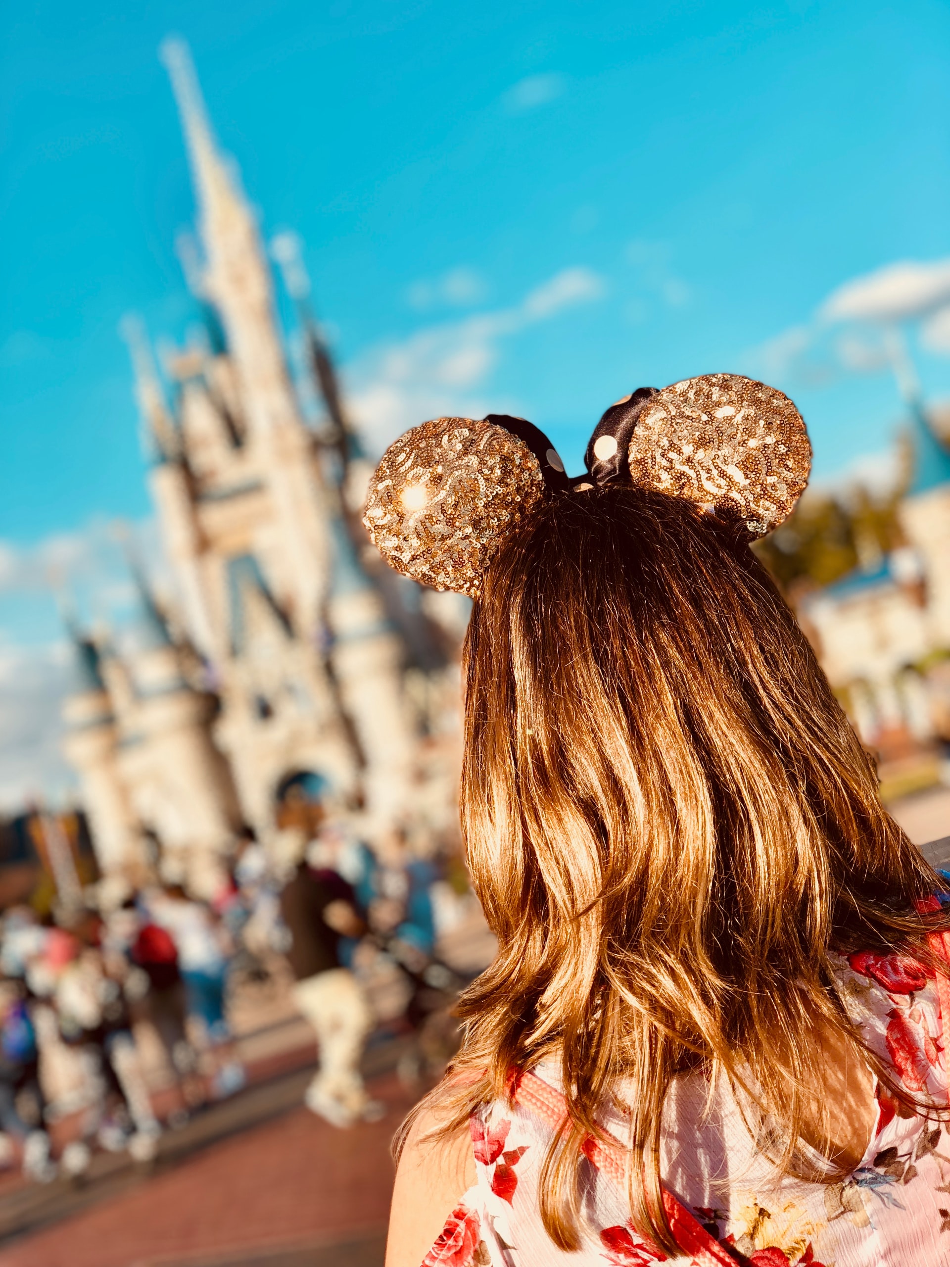 Mid-Day Magic Ticket - Castle Vacations